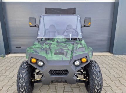 Buggy Typ : UTV 900