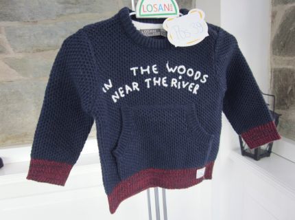 1 Pulli dunkelblau mit Schriftzug