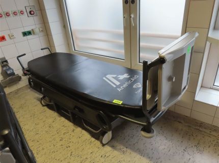 1 Transportliege Fabr. Nordiska Typ