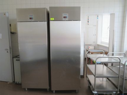 1 Tiefkühlschrank Fabr. Alpeninox für