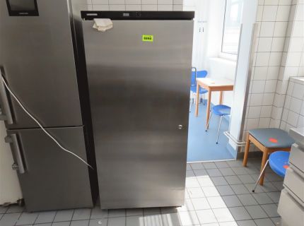 1 Edelstahl-Gefrierschrank Fabr. Liebherr Typ