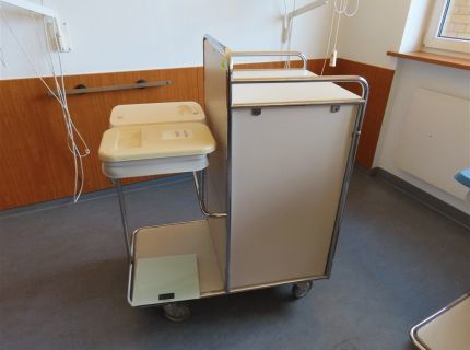 1 Stationswagen/Etagenwagen Fabr. Hammerlit grau