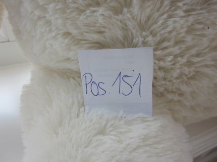 1 Teddy weißes Fell mit