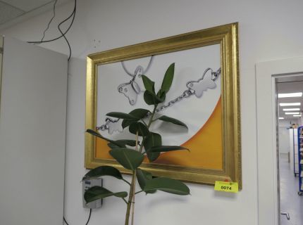 1 Bild mit goldenem Rahmen