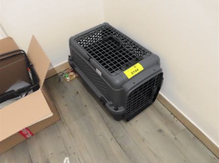 1 Tiertransportbox Kunststoff grau